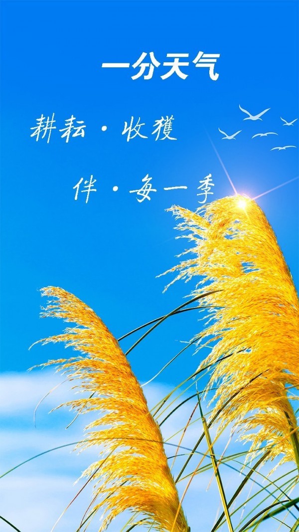 天氣預(yù)報(bào)神器