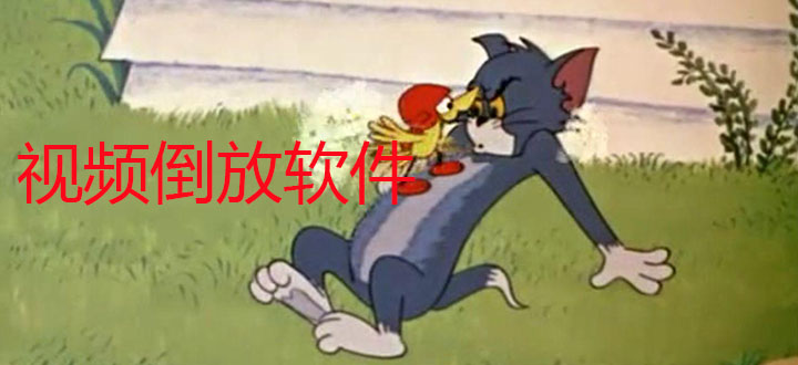 视频倒放软件