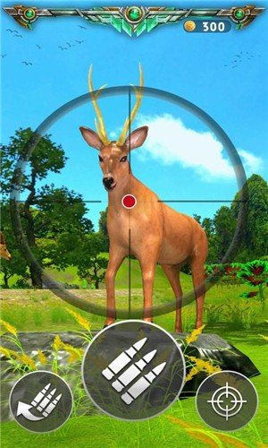 猎鹿比赛(Deer Hunting Game)