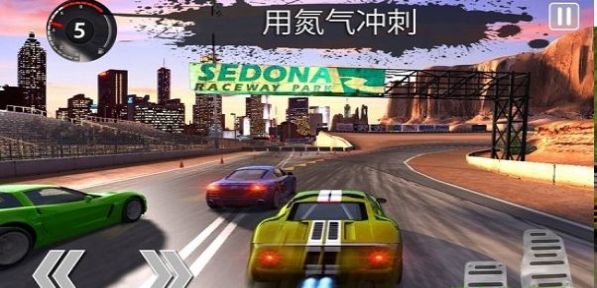 拉力賽狂怒(Rally Racer Fury 3D)
