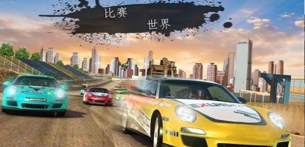 拉力賽狂怒(Rally Racer Fury 3D)