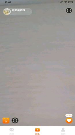 猫T