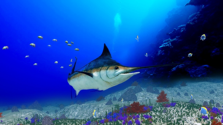 藍槍魚歷險(The Blue Marlin)