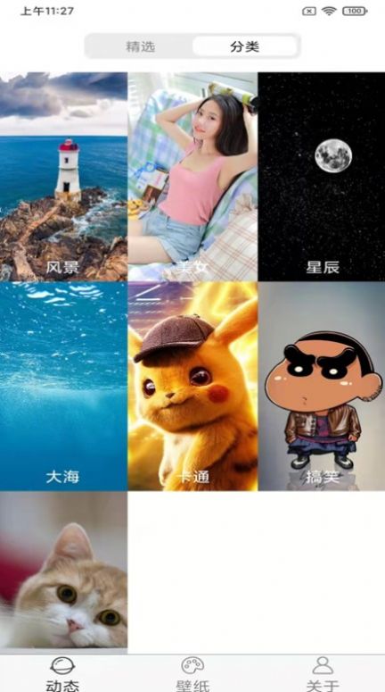 飛花動態(tài)壁紙
