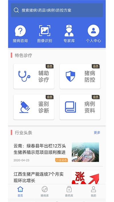 豬安全