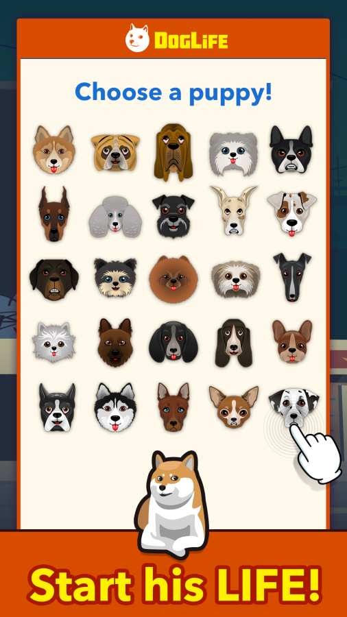 DogLife