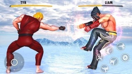 功夫街戰(zhàn)斗英雄(Clash of Fighters)