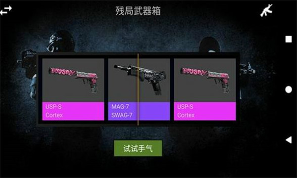 csgo真實(shí)開箱模擬器