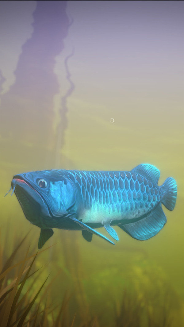 大魚吃小魚(海底大獵殺)