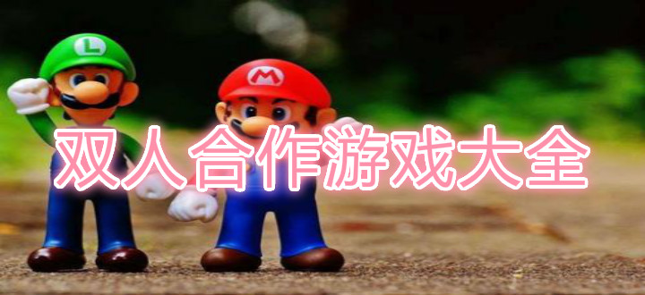 双人合作游戏大全