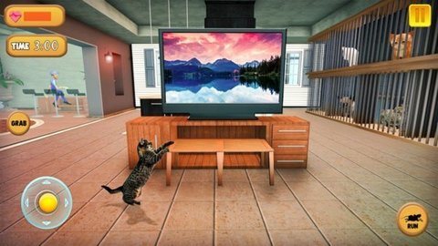 猫咪模拟器
