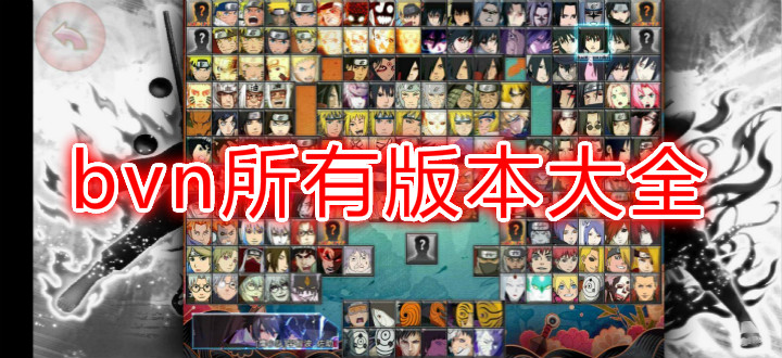 bvn所有版本大全