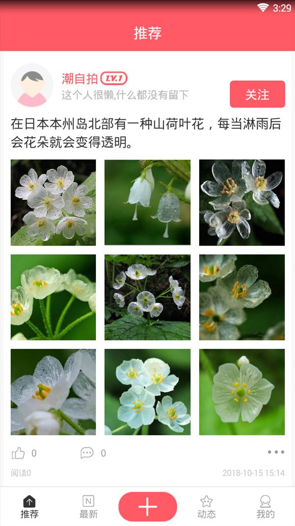 自拍社