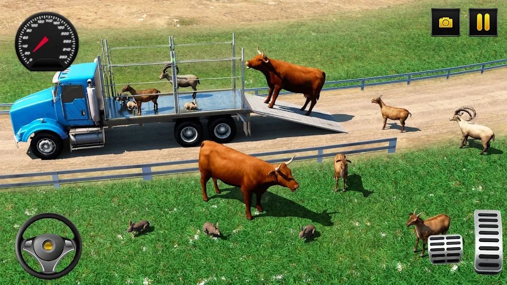 農(nóng)場(chǎng)動(dòng)物駕駛模擬器(Animal Transport)