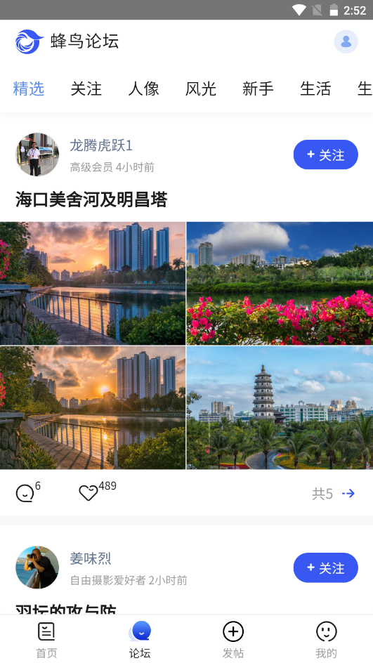 蜂鸟摄影