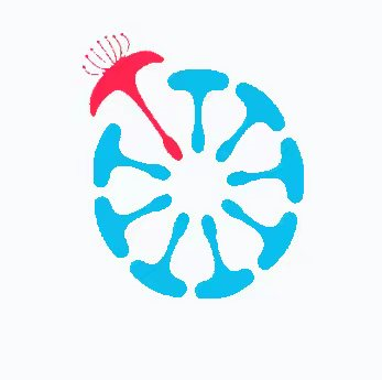 蒲公英虚拟位置模拟器