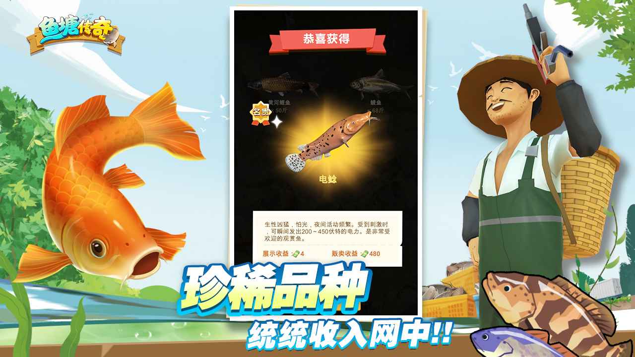 魚(yú)塘傳奇