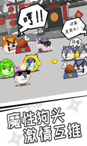 狗子來了