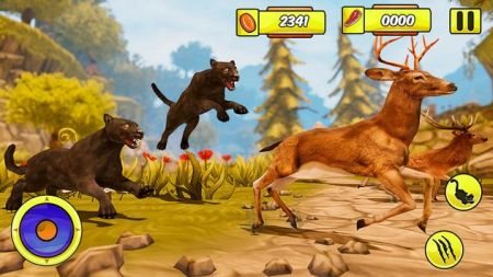 黑豹家庭模擬器(Cheetah RPG Jungle Simulator)