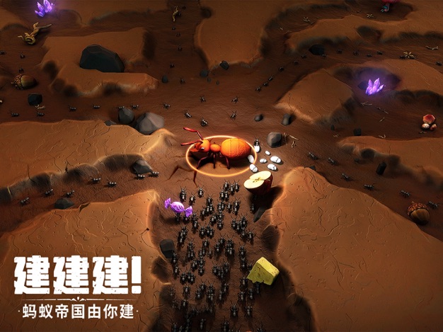 蟻?zhàn)遽绕鹕駱渲畱?zhàn)