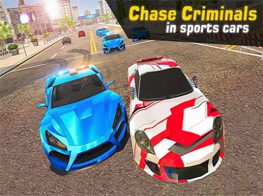 公路警察追捕(Highway Police Pursuit)
