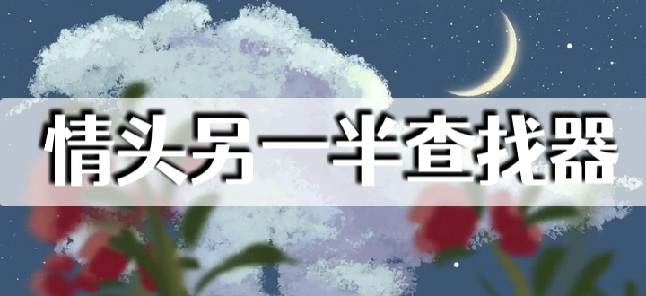 情头另一半查找器