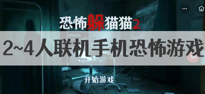 2~4人联机手机恐怖游戏
