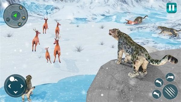 野生雪豹模擬器