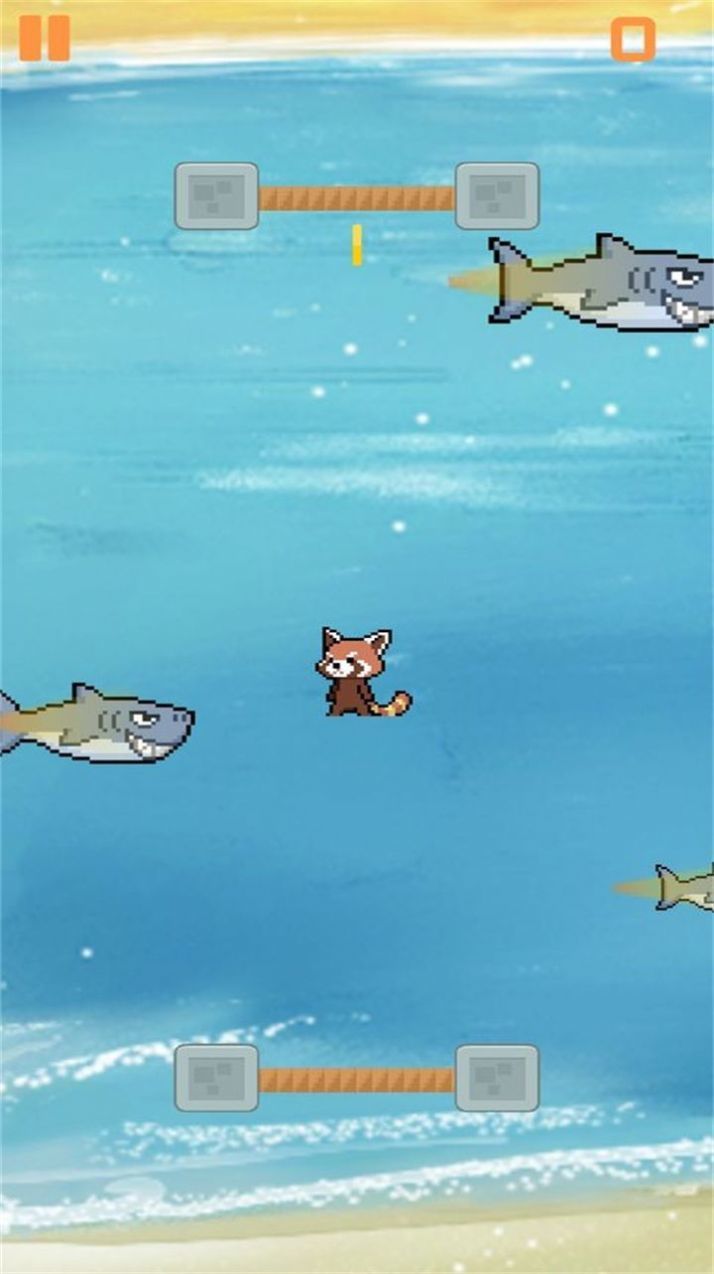 別被鯊魚(yú)吃掉