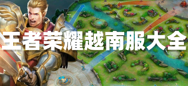 王者荣耀越南服
