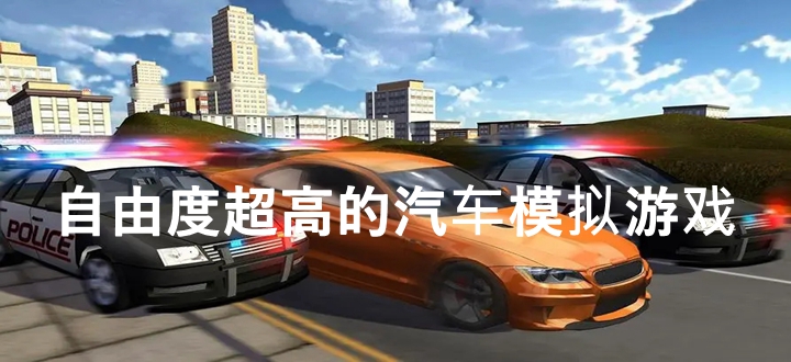 自由度超高的汽车模拟游戏