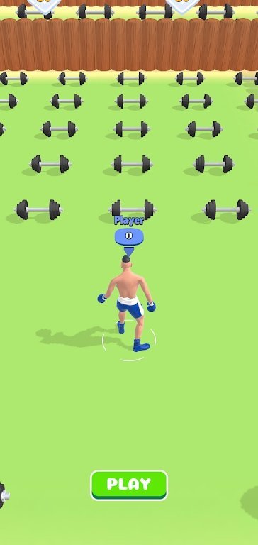 力量竞技场3D(Punchy IO)