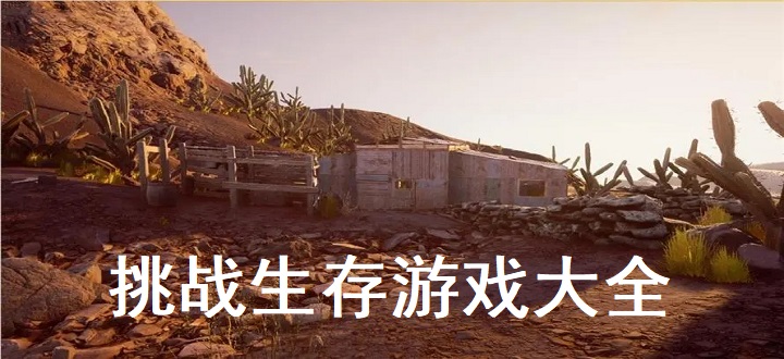挑战生存游戏大全