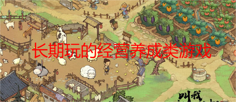 长期玩的经营养成类游戏