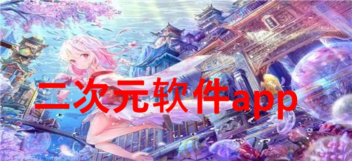 二次元软件app