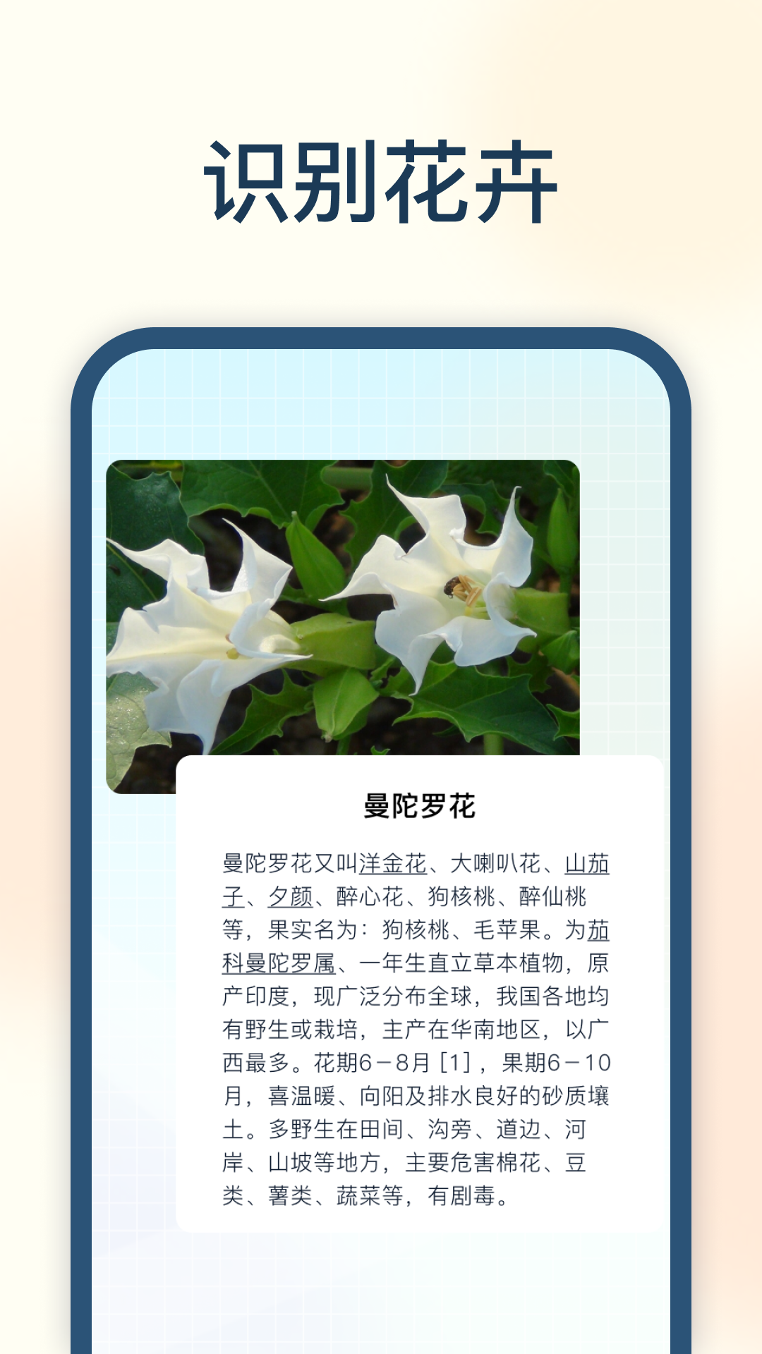 試卷星