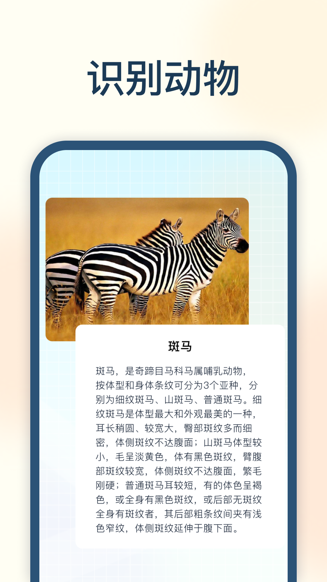 試卷星