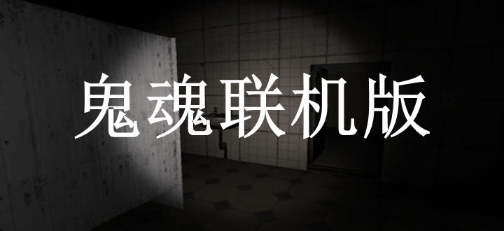 鬼魂联机版
