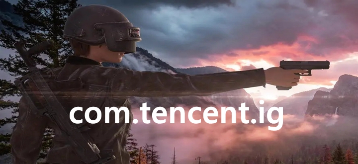 com.tencent.ig