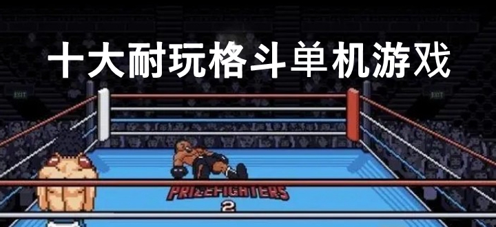十大耐玩格斗单机游戏