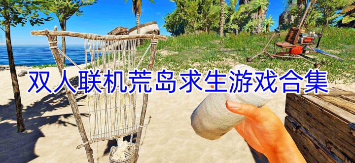 双人联机荒岛求生游戏合集