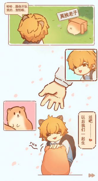 有間萌寵小屋