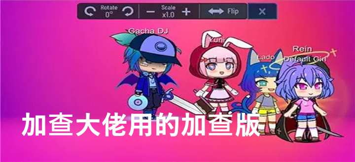 加查大佬用的加查版