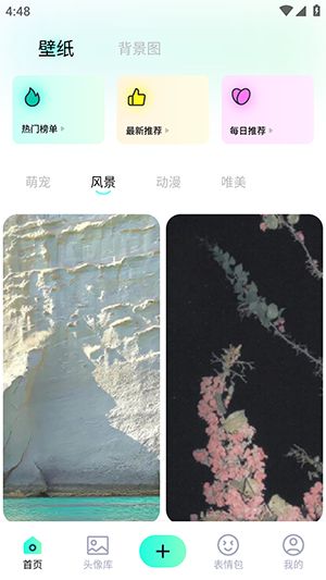 shaft壁纸