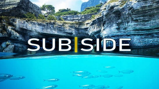 Subside全解鎖完美存檔