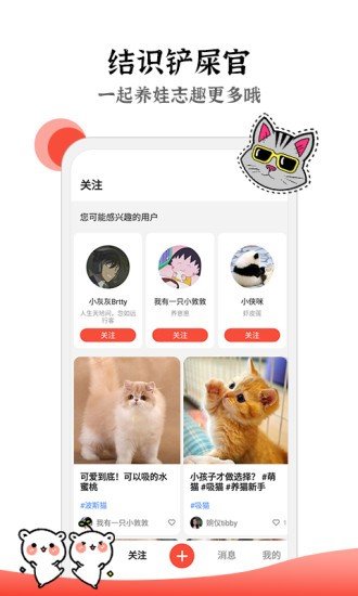 猫猫社区
