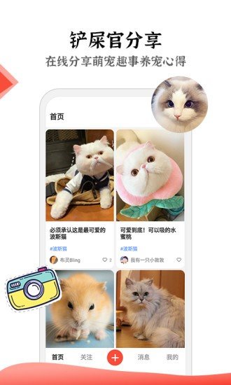 猫猫社区