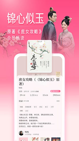 紅袖讀書