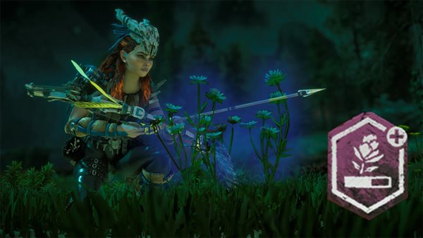 地平线零之曙光药袋容量优化MOD