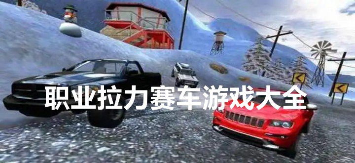职业拉力赛车游戏